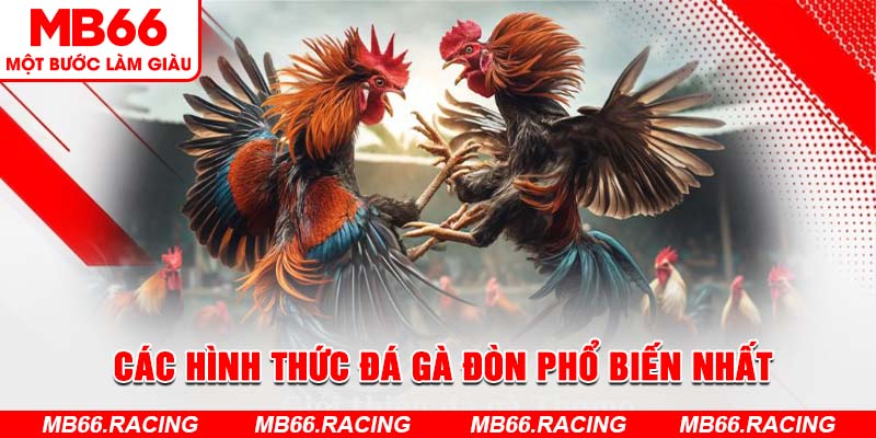 Điểm đặc trưng của hình thức đá gà đòn