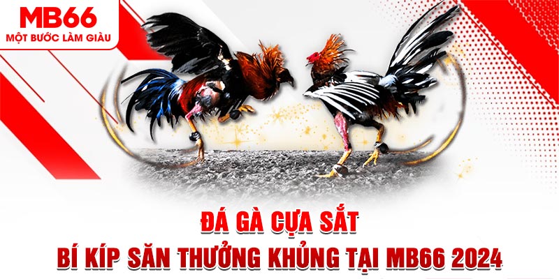 Đá Gà Cựa Sắt - Bí Kíp Săn Thưởng Khủng Tại MB66 2024