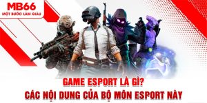 Game Esport Là Gì? Các Nội Dung Của Bộ Môn Esport Này